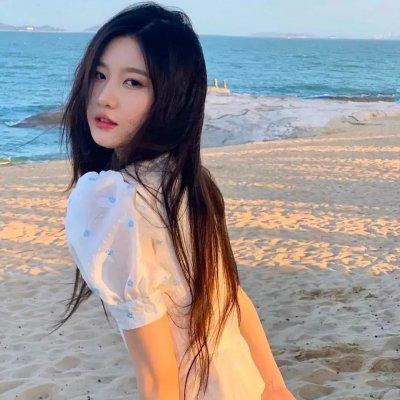 开放的美国学府